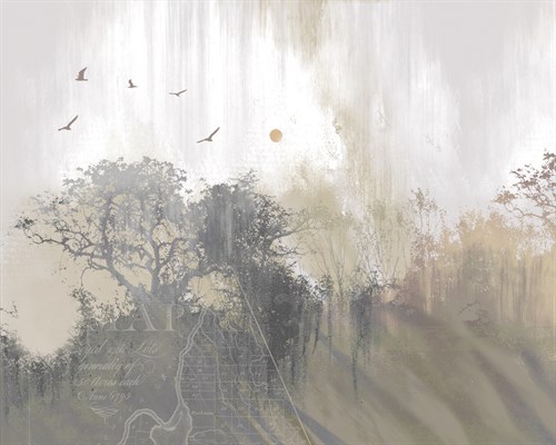 Cartography Forest - Ken Hurd