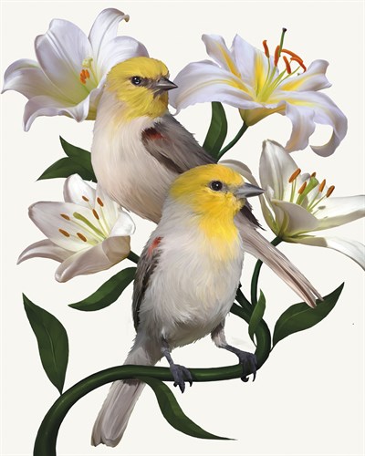 Pure Birdsong - Duet - Sam Kemp