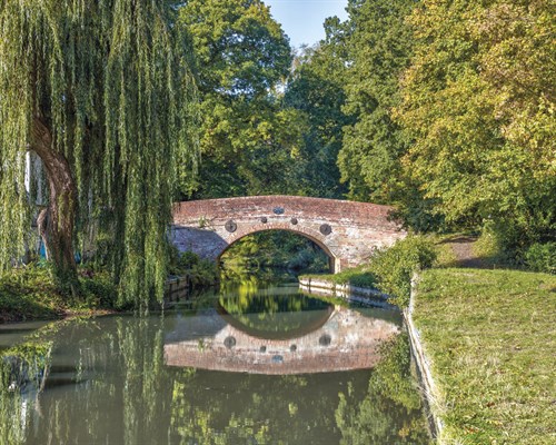 Bridge Over Peaceful Waters - Assaf Frank