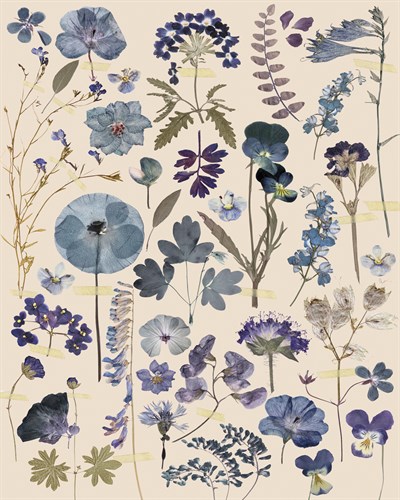 Midnight Garden - Anahata Katkin