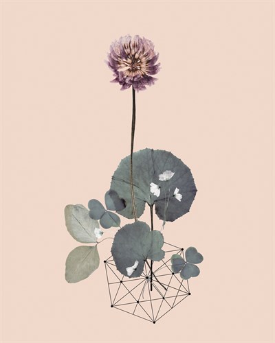 Make A Wish - Anahata Katkin