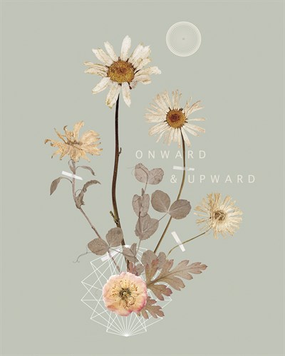 Onward and Upward - Anahata Katkin
