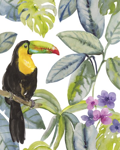 Toucan Seek - Sandra Jacobs