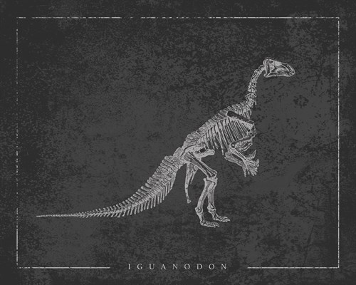 Iguanodon Noir - The Vintage Collection