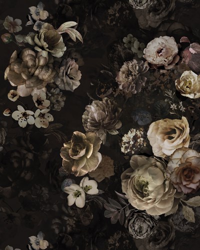 Fascinating Flora - Stefan Jans
