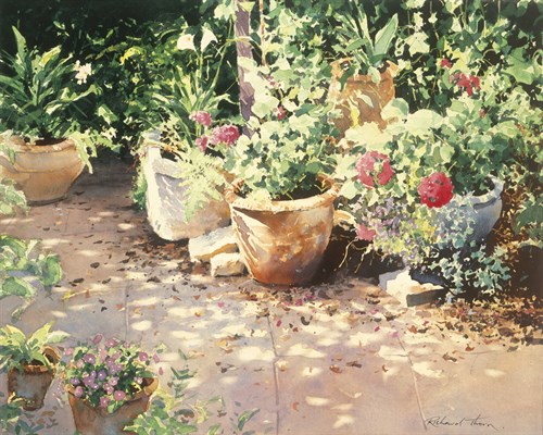Dappled Corner - Richard Thorn
