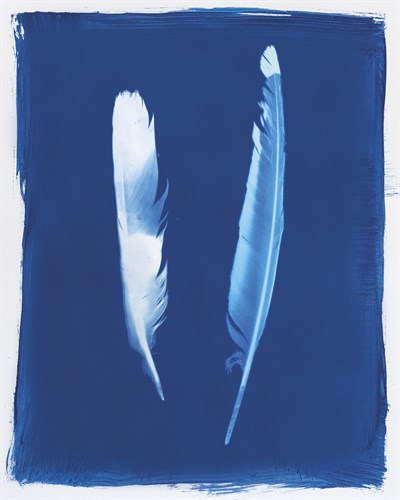 Magpie Feathers - Sarah Cheyne