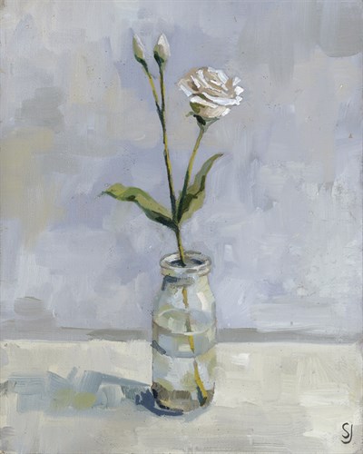Rose Stem Study - Steven Johnson