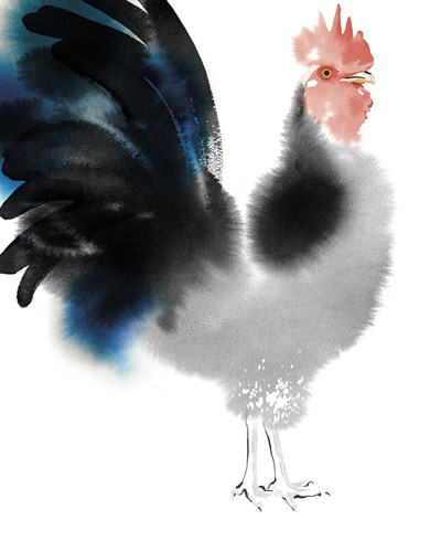 Proud Rooster - Kristine Hegre