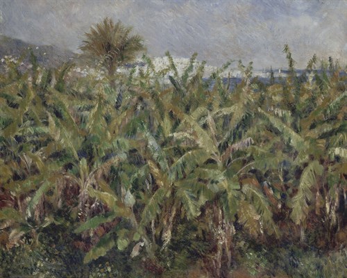 Field of Banana Trees - Pierre Auguste Renoir