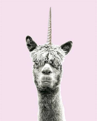 Lllama-Corn - Bill Philip