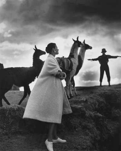 Model with llamas, Peru, 1952 - Antoinette Frissell