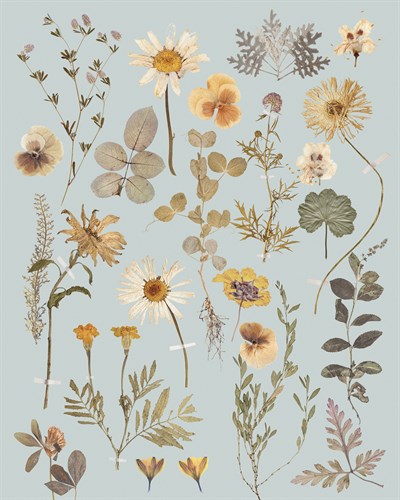 Pressed Petals - Anahata Katkin