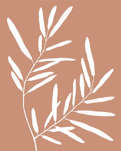Apricot Silhouette - Bud - Kristine Hegre