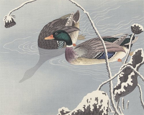 Two Ducks by Snowy Lotus - Ohara Koson