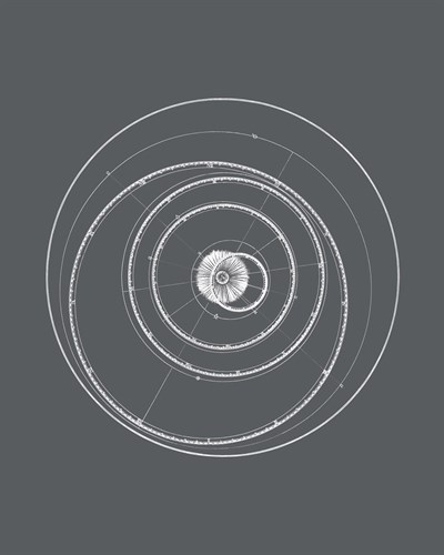 Celestial - Planetarium - The Vintage Collection