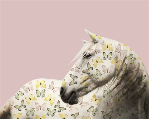 Flutterby Horse - Gaze - Irene Suchocki