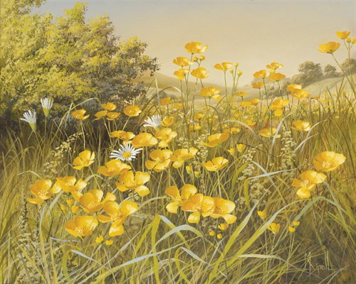 Meadow Gold - Mary Dipnall