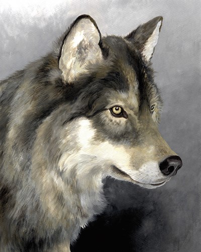 The Stare - Janie Howe