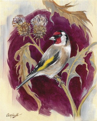 Hedgerow Bird - Goldfinch - Sarah Aspinall
