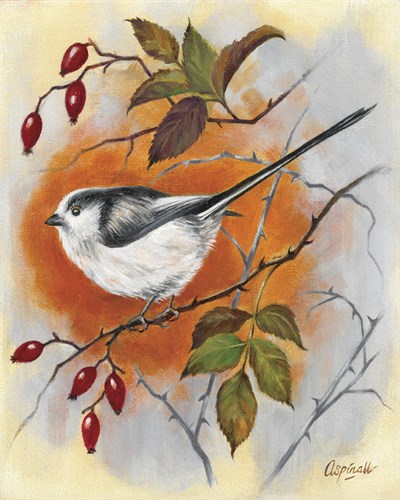 Hedgerow Bird - Long Tailed Tit - Sarah Aspinall