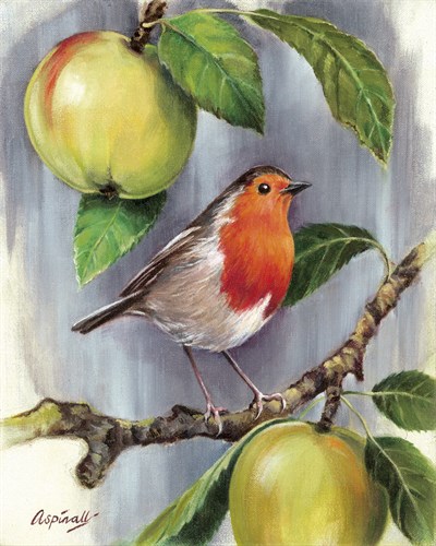 Robin in an Apple Tree - Sarah Aspinall