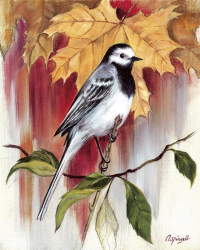 Pied Wagtail with Maple Leaves - Sarah Aspinall