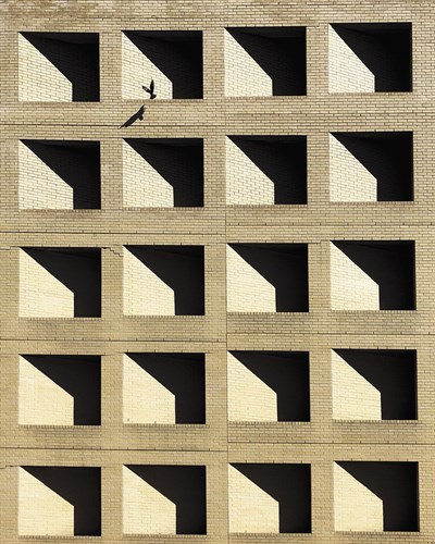 Isolation - Ash Camas