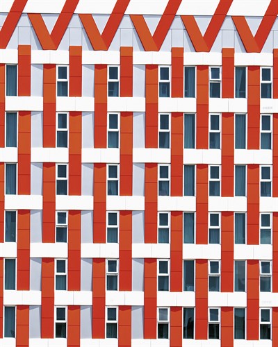 Dynamic Facade - Ash Camas