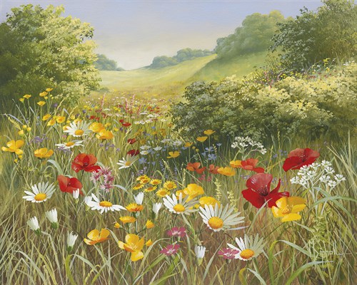 Wild Flower Meadow - Mary Dipnall