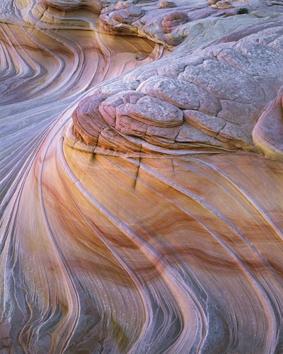 Plateau Poetry - Joe Cornish