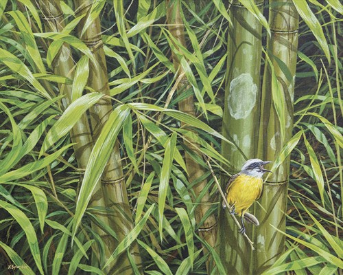 Bird Song - Karen Sylvester