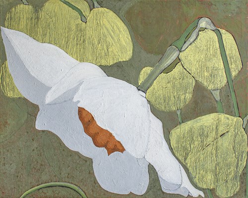 Floral Shade - Gaetan Caron