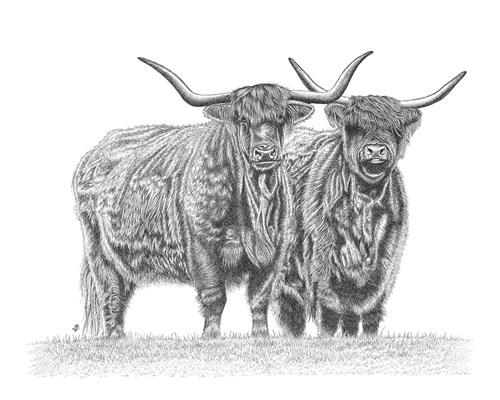 Highland Friends - Lucy Francis