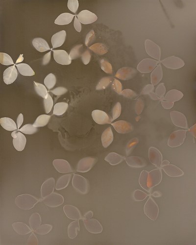 Fall Lumen - Spray - Sarah Hart Morgan