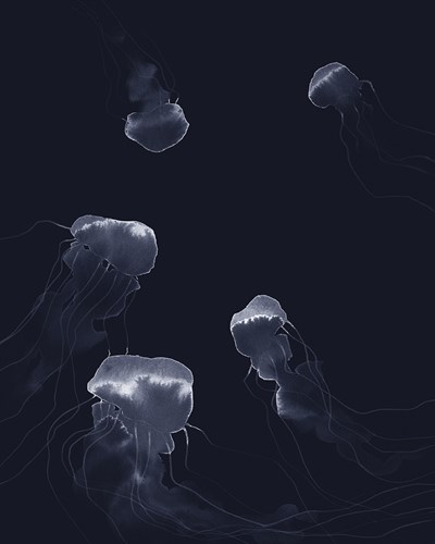 Delicate Dive - Swim - Kristine Hegre