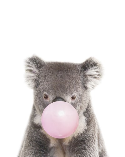 Koala Pop - Marco Simoni