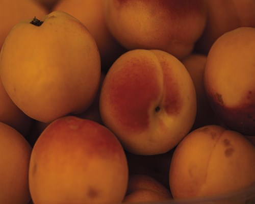 Mellow Market - Peach - Florian Schleinig