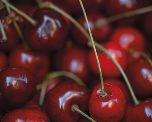 Mellow Market - Cherry - Florian Schleinig
