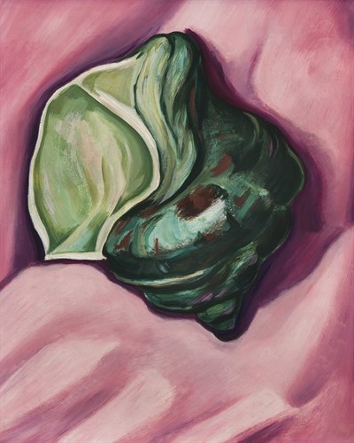 The Seashell - Marsden Hartley