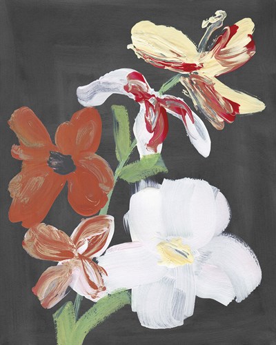 Bold Blooms - Posy  - Belle Poesia