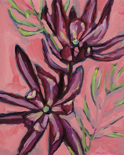 Fynbos Flowers - Paula Mills
