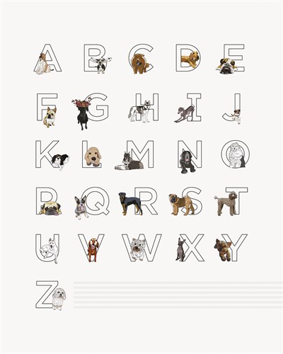 Canine Alphabet - Whitney  Niesz