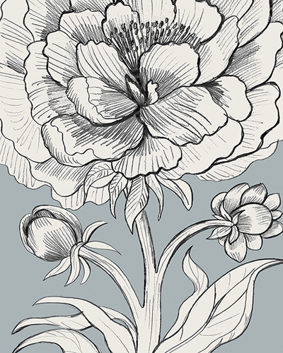 Linear Peony - Bloom - Kay Widdowson