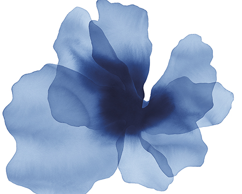 Floral Drift - Muse - Kristine Hegre