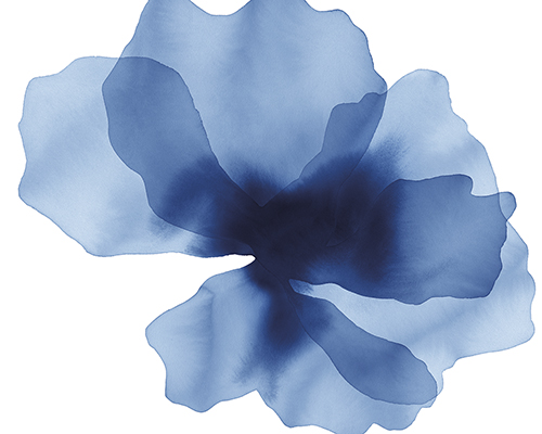 Floral Drift - Daze - Kristine Hegre