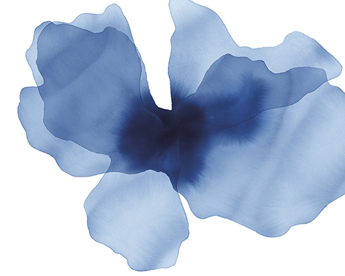 Floral Drift - Float - Kristine Hegre