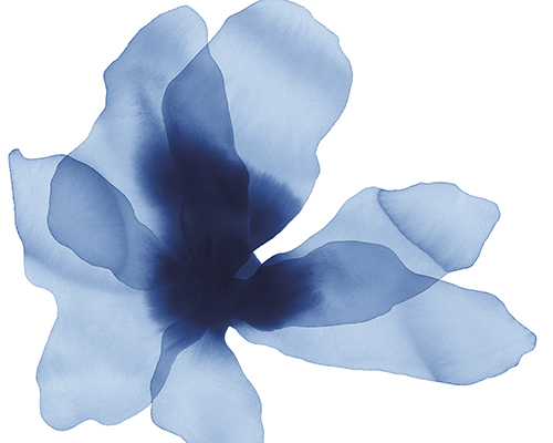 Floral Drift - Sway - Kristine Hegre