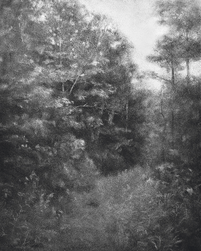 Secret Forest - Tiffany  Moore