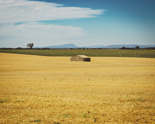 Open Prairie - Florian Schleinig